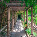 Jardin Majorelle bamboo walkway