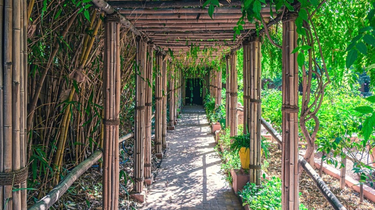 Bamboo path at Jardin Majorelle