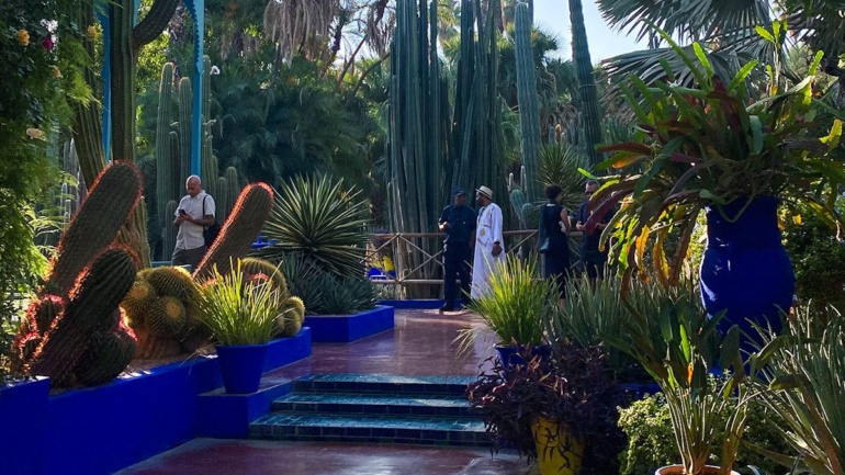 Cactus path at Jardin Majorelle