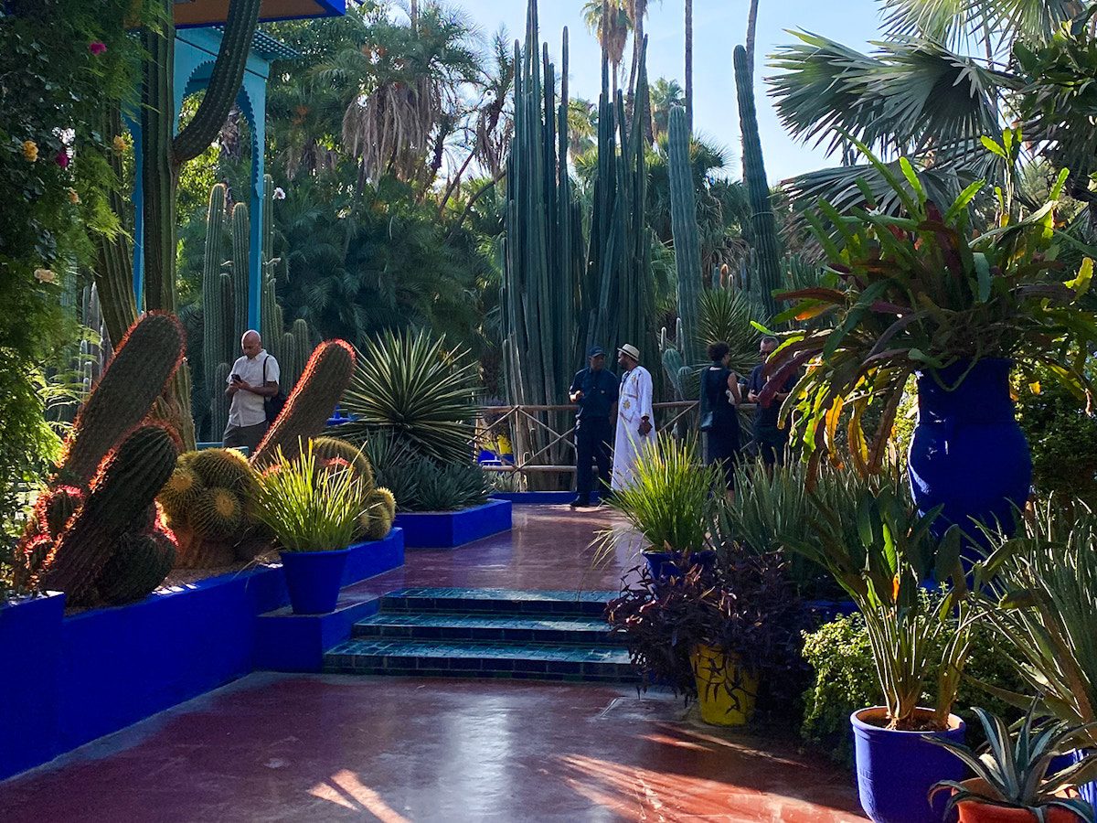 Cactus path at Jardin Majorelle