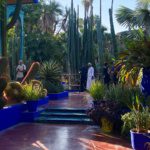 Jardin Majorelle cactus path