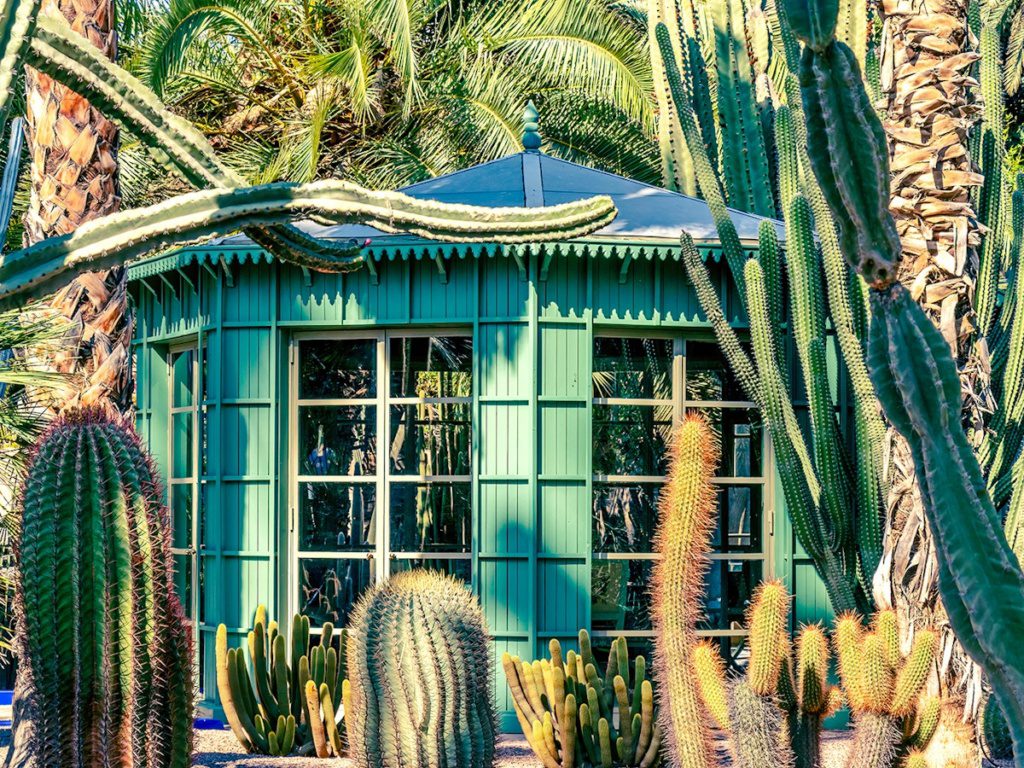 Jardin Majorelle pavilion and cacti