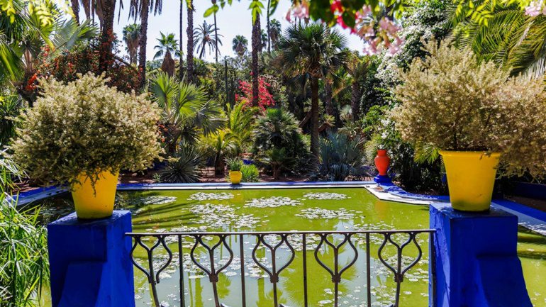 Jardin Majorelle pond and greenery
