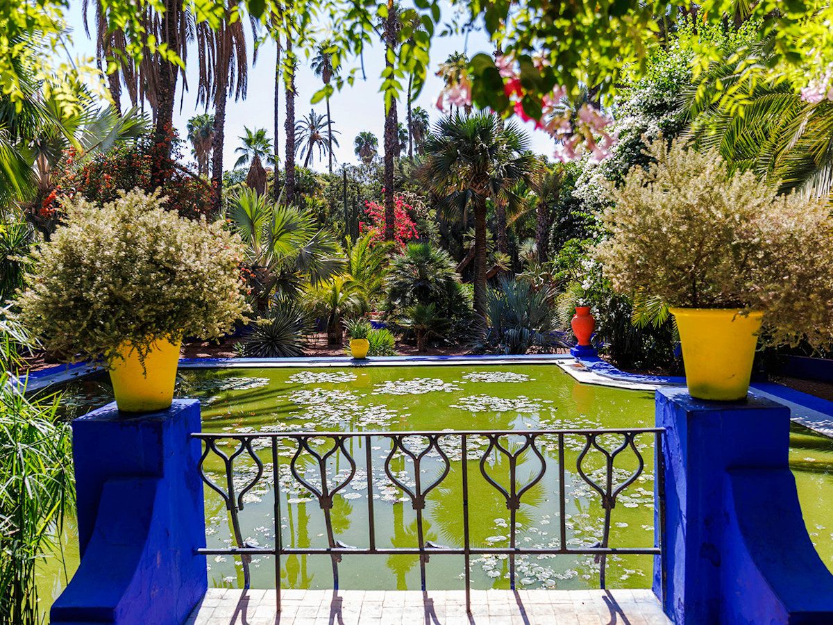 Jardin Majorelle pond and greenery