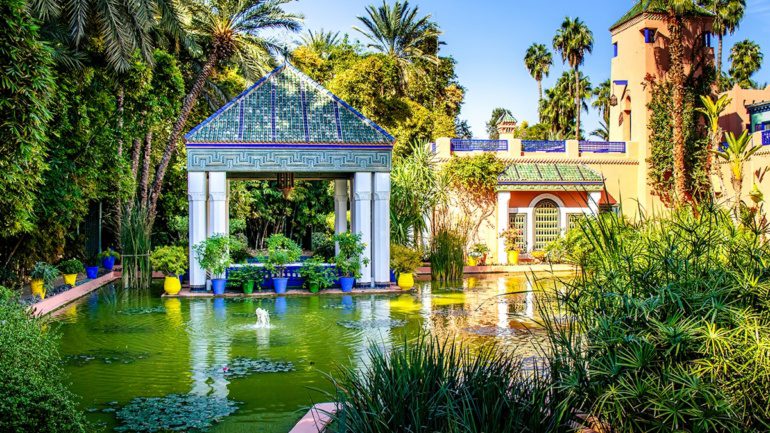 Jardin Majorelle colorful pots and garden